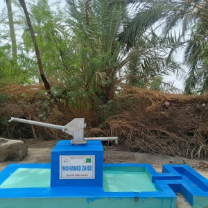 Grande pompe à main – Pakistan 🇵🇰