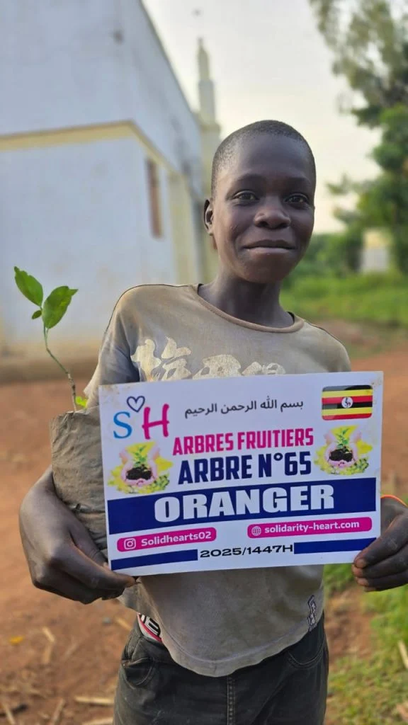 Enfant présentant un jeune oranger et la plaque du projet de plantation.