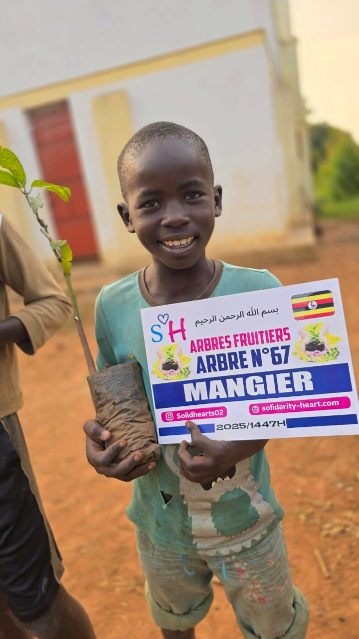 whatsapp image 2025 08 06 at 22.25.41 (1)