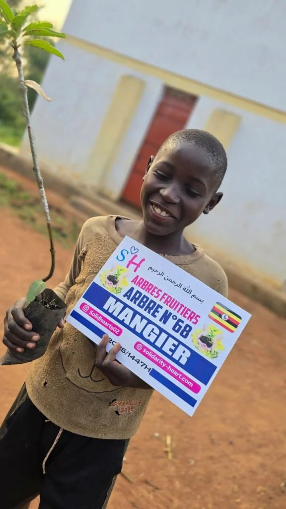 Enfant présentant un jeune manguier et sa plaque de plantation.