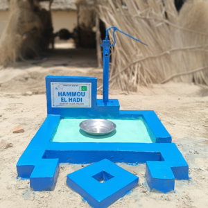 Petite pompe à main – Pakistan 🇵🇰