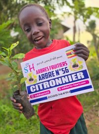 whatsapp image 2025 08 06 at 22.19.40