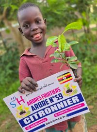 whatsapp image 2025 08 06 at 22.19.42